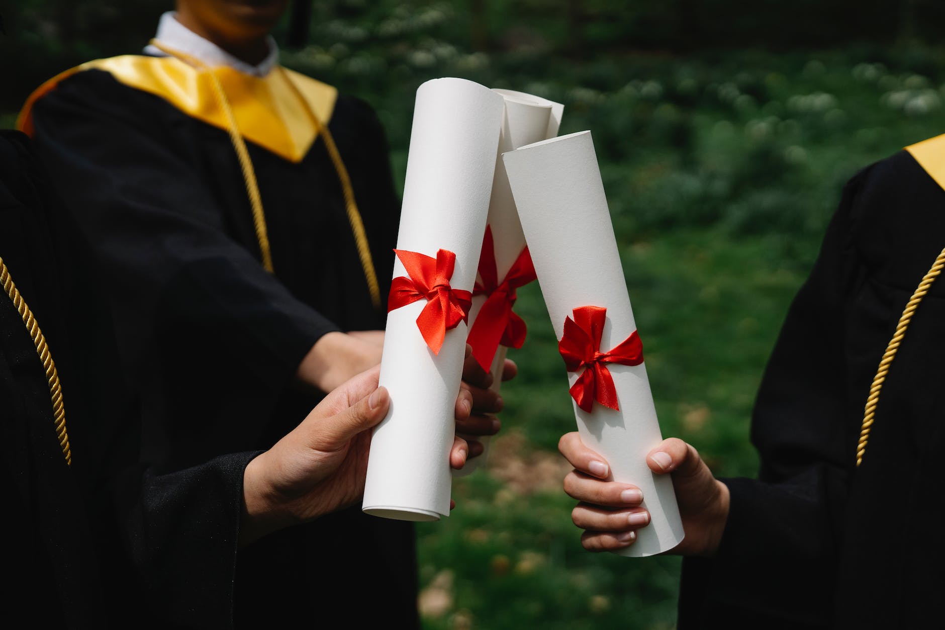 photograph of people s hands holding white diplomas